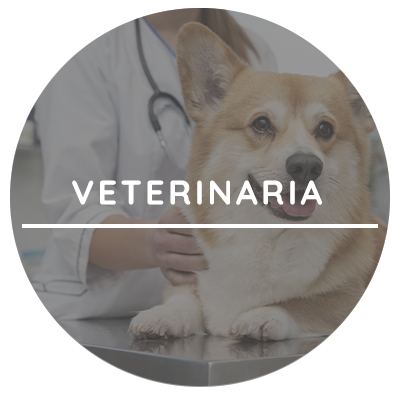 Farmacia Ana Torrent C/ Doctor Bertomeu 2 Pineda de Mar